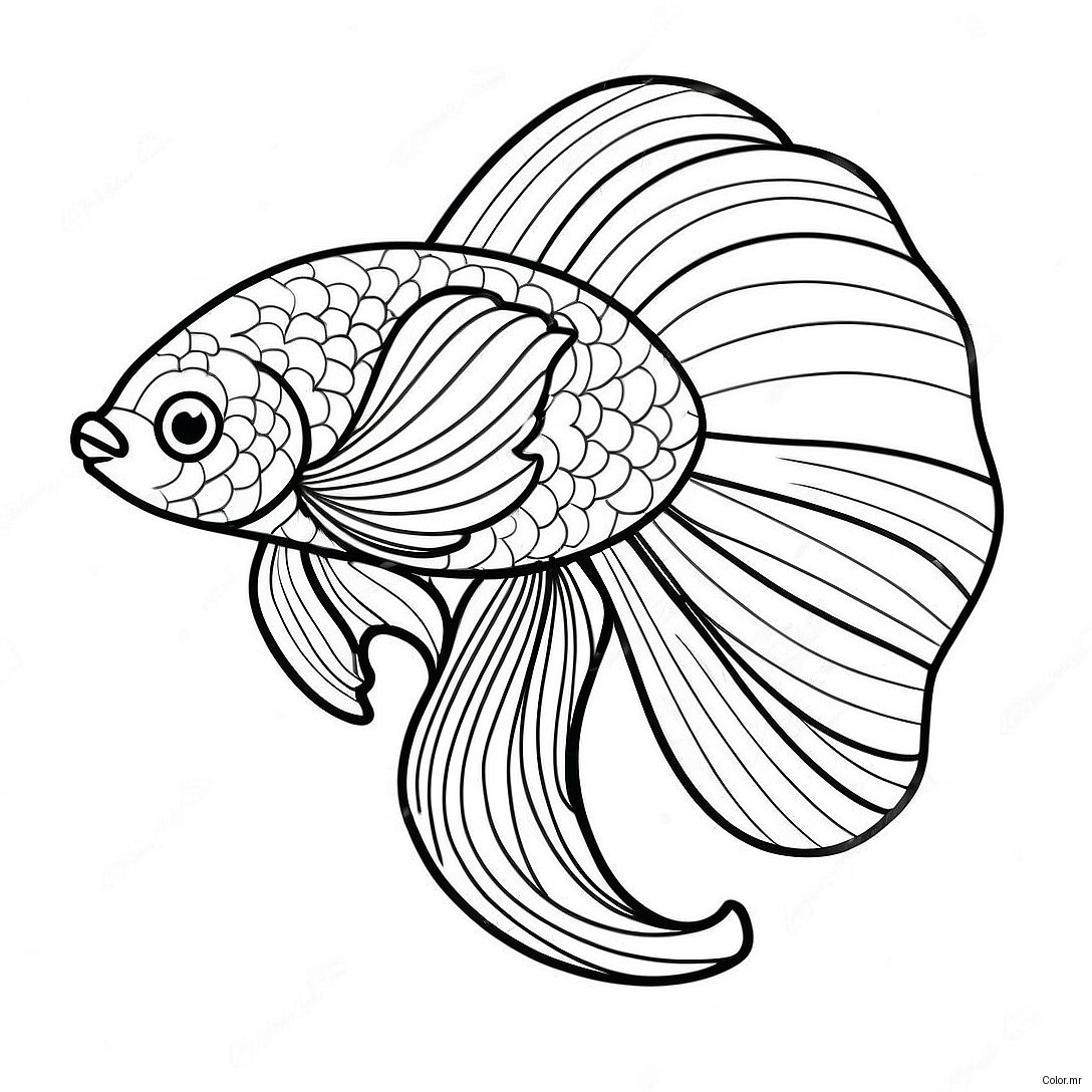 Colorful Betta Fish With Flowing Fins Coloring Page 71044 58721