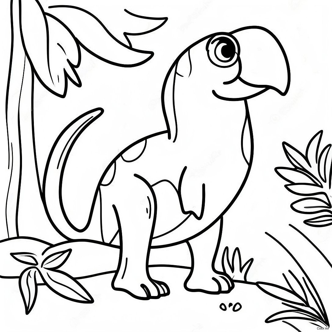 Colorful Costa Rican Wildlife Coloring Page 25046 22932