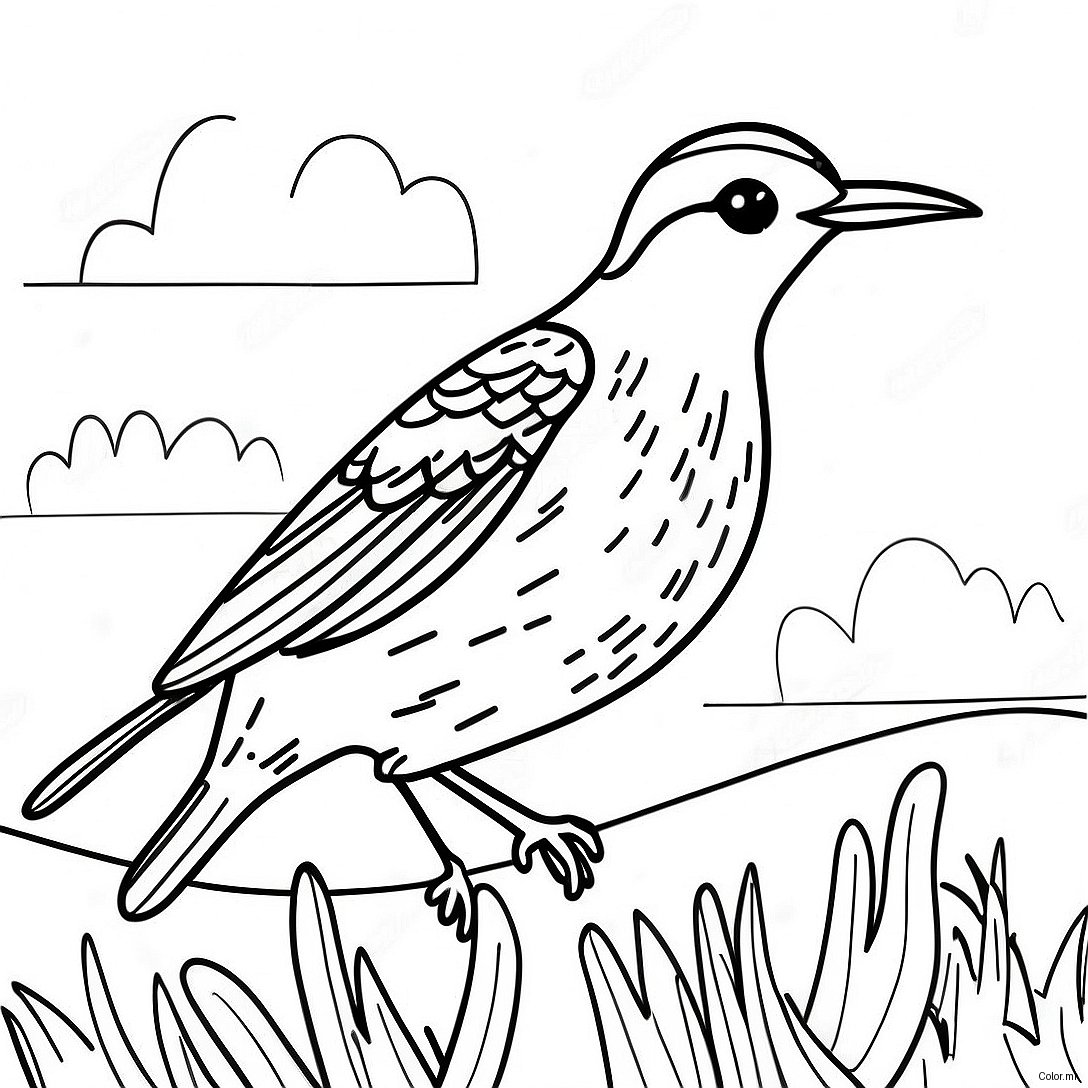 Colorful Western Meadowlark In Flight Coloring Page 65181 53861
