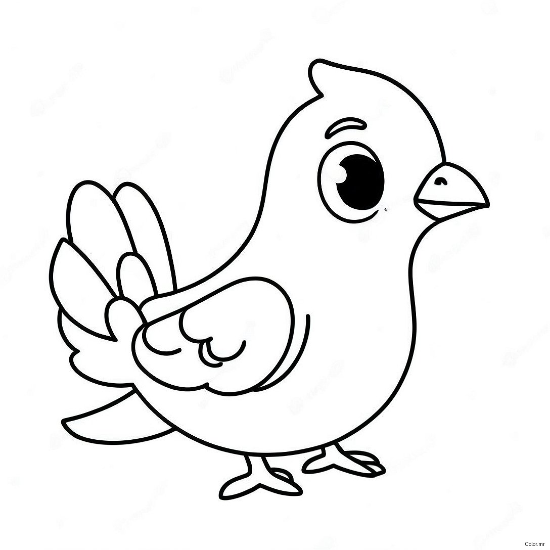 Cute Cartoon Pigeon Coloring Page 39908 33109