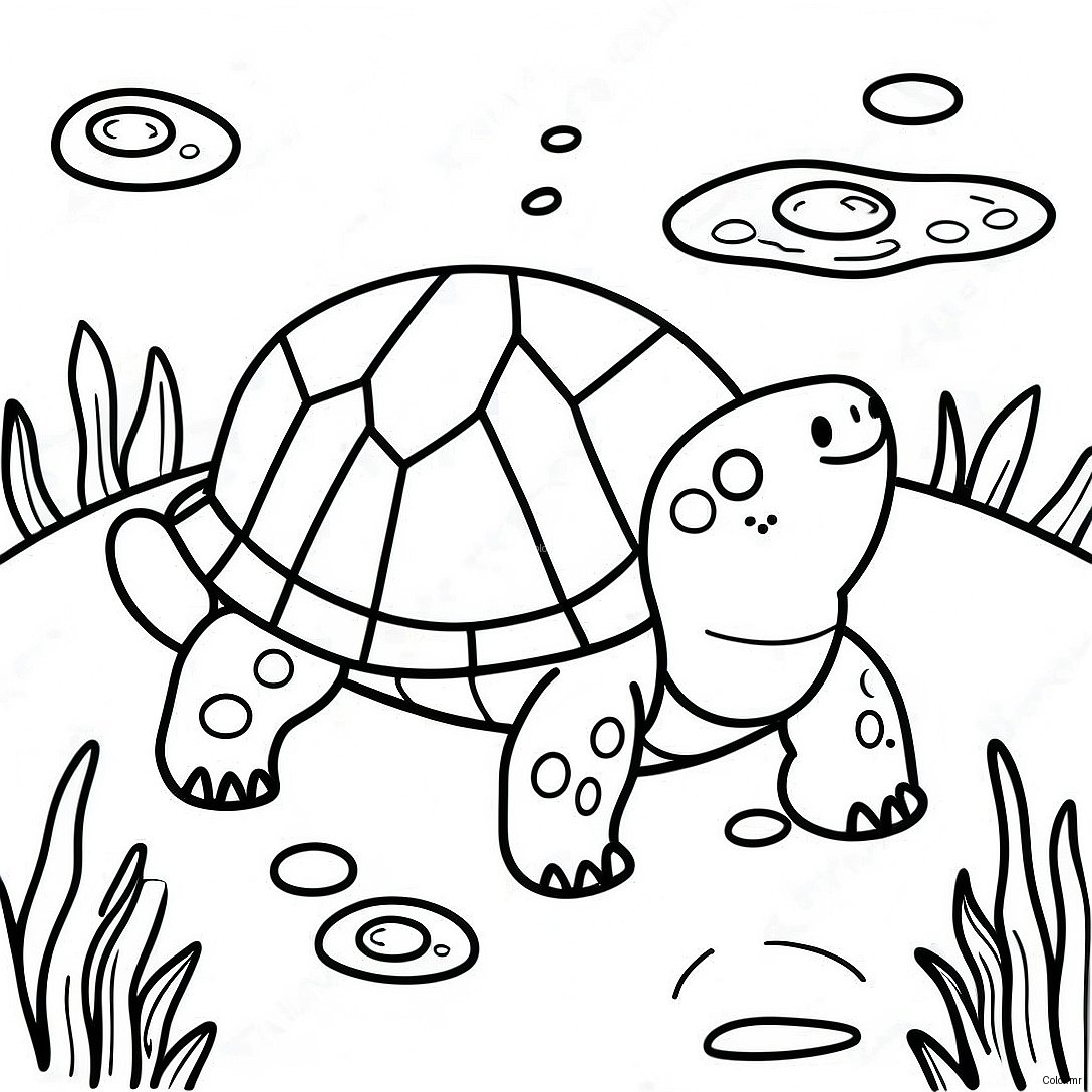 Cute Snapping Turtle Swimming Coloring Page 65831 54380