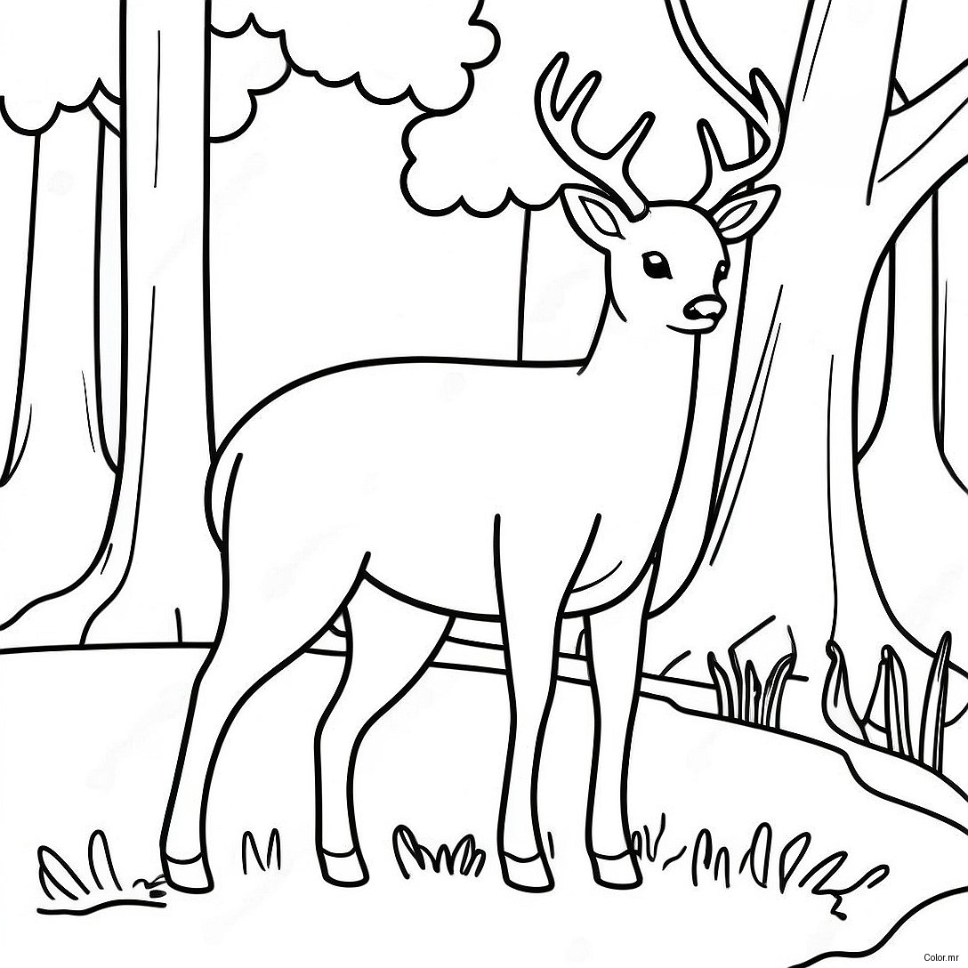 Graceful White Tailed Deer Grazing Coloring Page 59337 49264