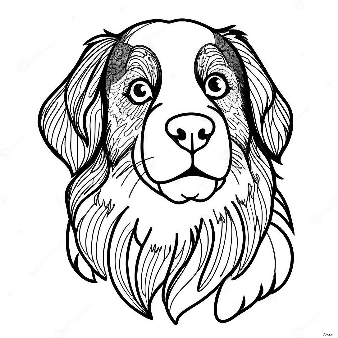 Pagina Da Colorare Del Cane Da Montagna Bernese 35563 29581