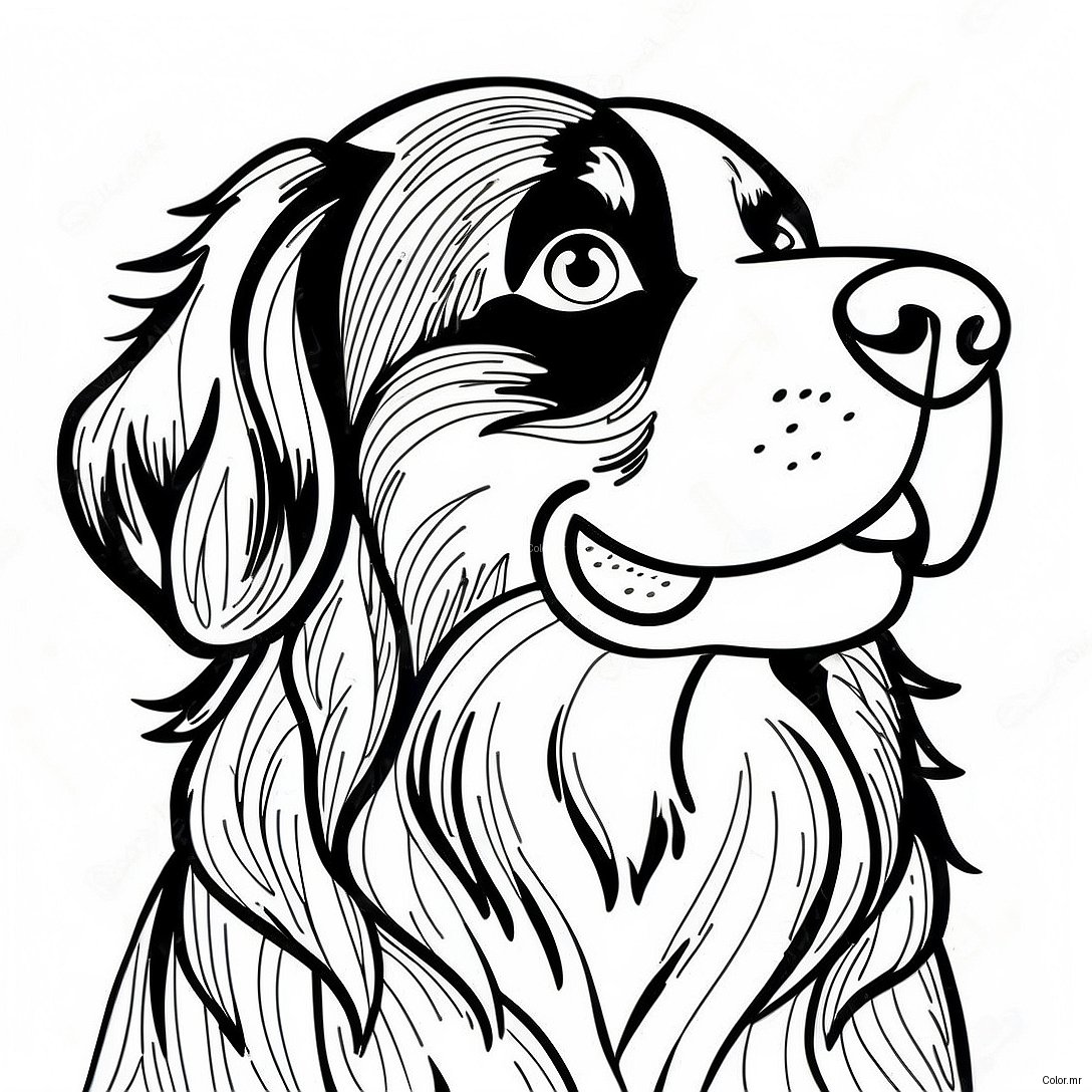 Pagina Da Colorare Del Cane Da Montagna Bernese 35563 29584
