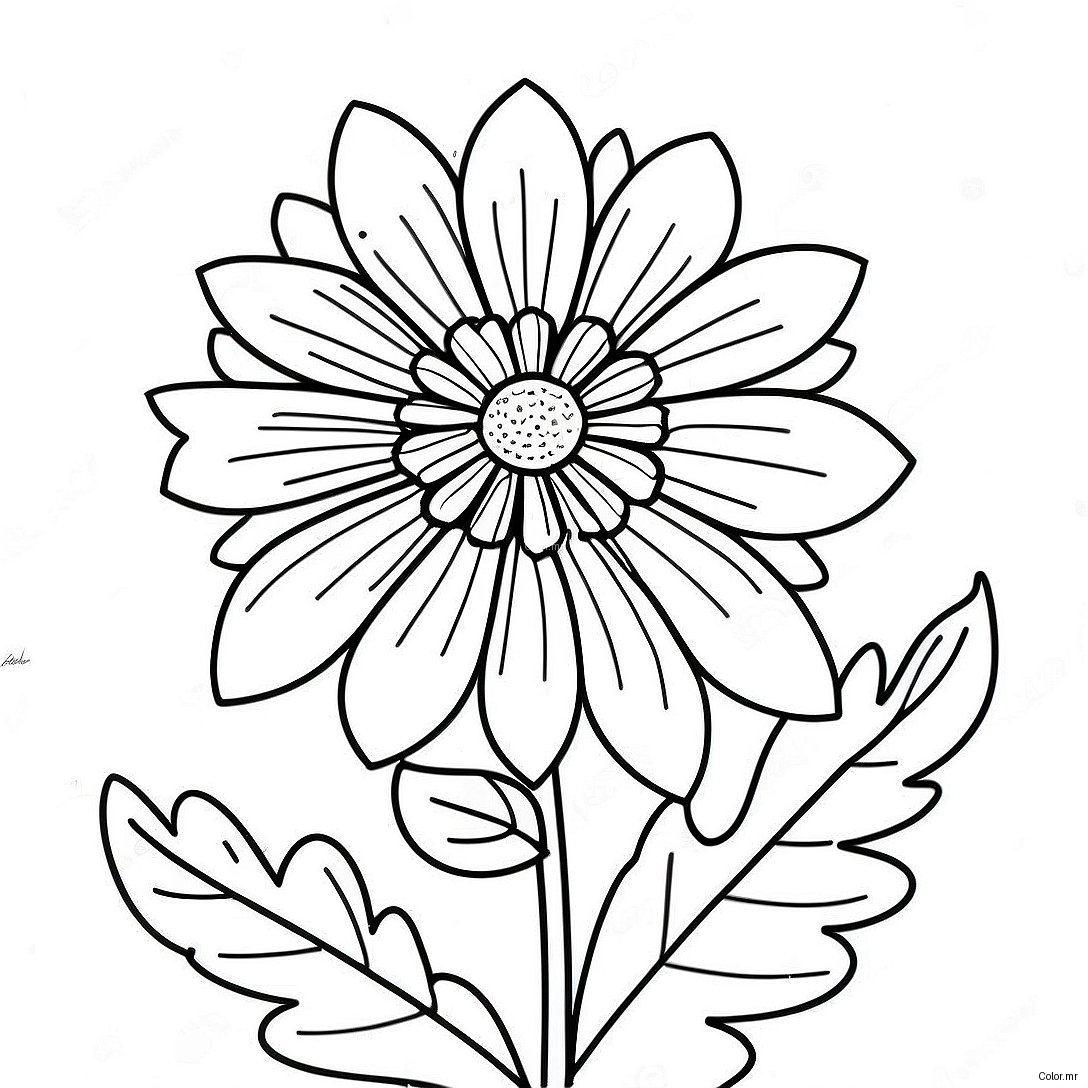 Pagina Da Colorare Del Fiore Di Tagete 41559 34489