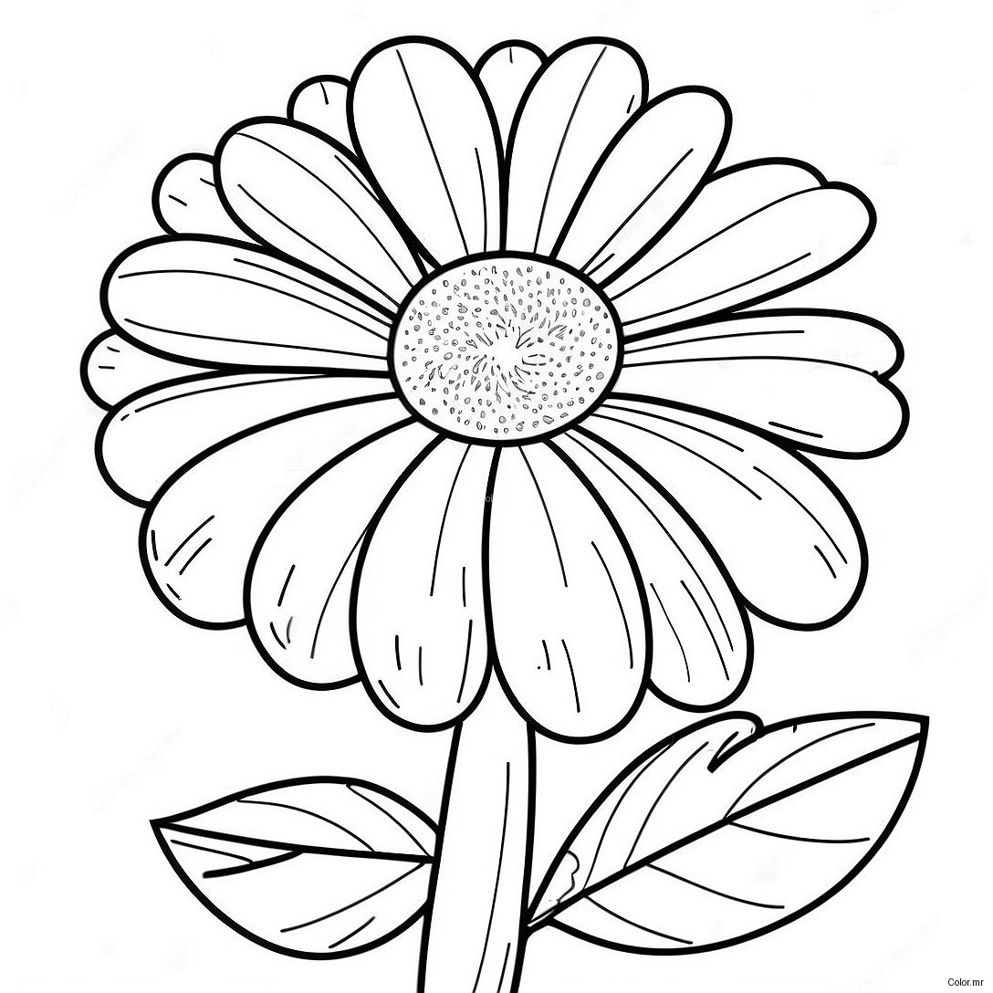 Pagina Da Colorare Del Fiore Di Tagete 41559 34490
