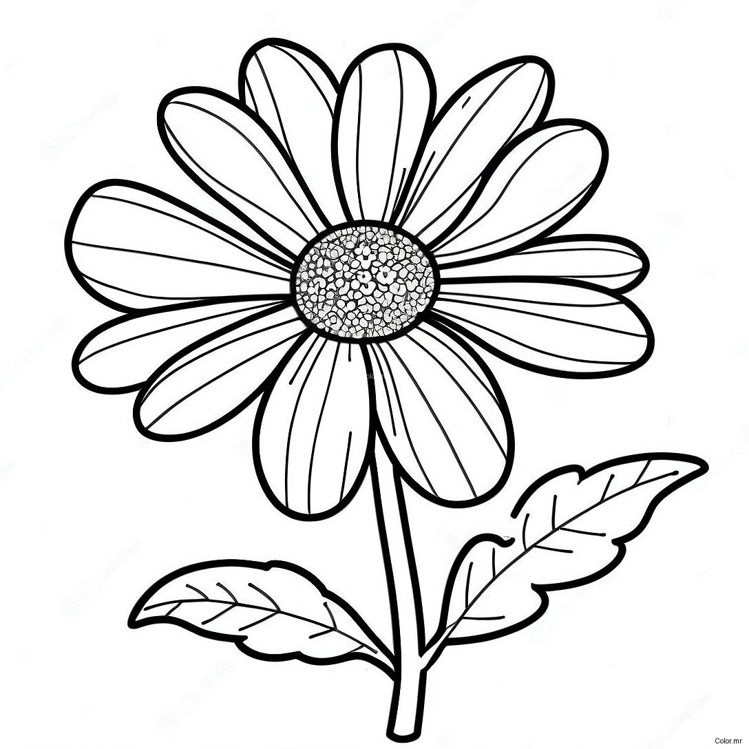 Pagina Da Colorare Del Fiore Di Tagete 41559 34492