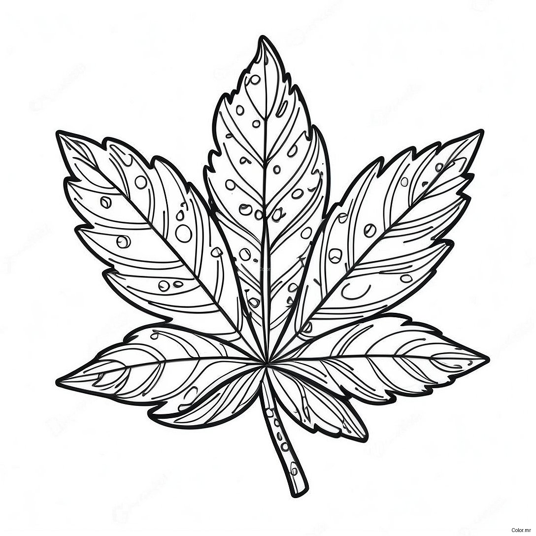 Pagina Da Colorare Dettagliata Della Foglia Di Pot 46074 38377