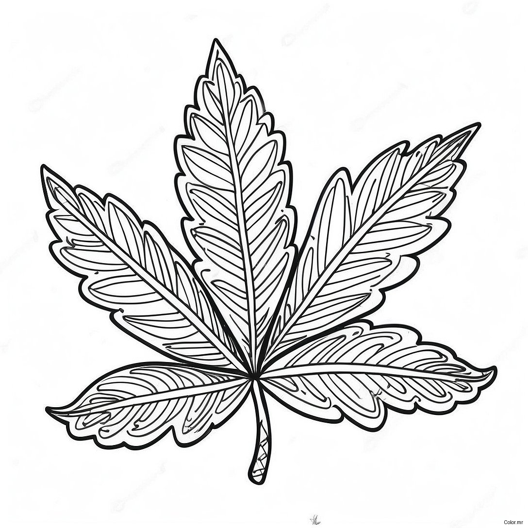 Pagina Da Colorare Dettagliata Della Foglia Di Pot 46074 38380