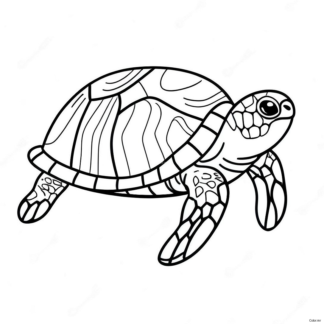 Realistic Sea Turtle Swimming Coloring Page 62858 52043