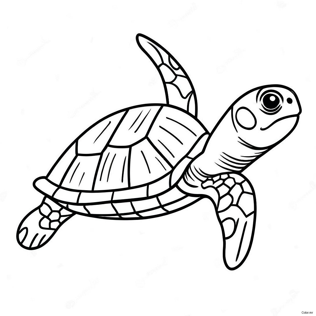 Realistic Sea Turtle Swimming Coloring Page 62858 52044