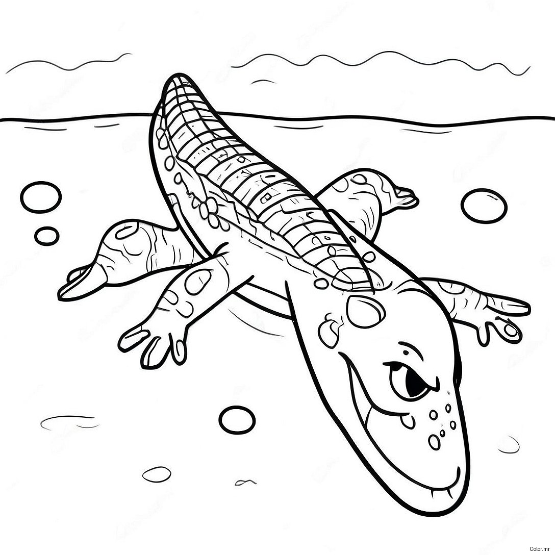Vector The Crocodile Swimming In Water Coloring Page 41600 34521