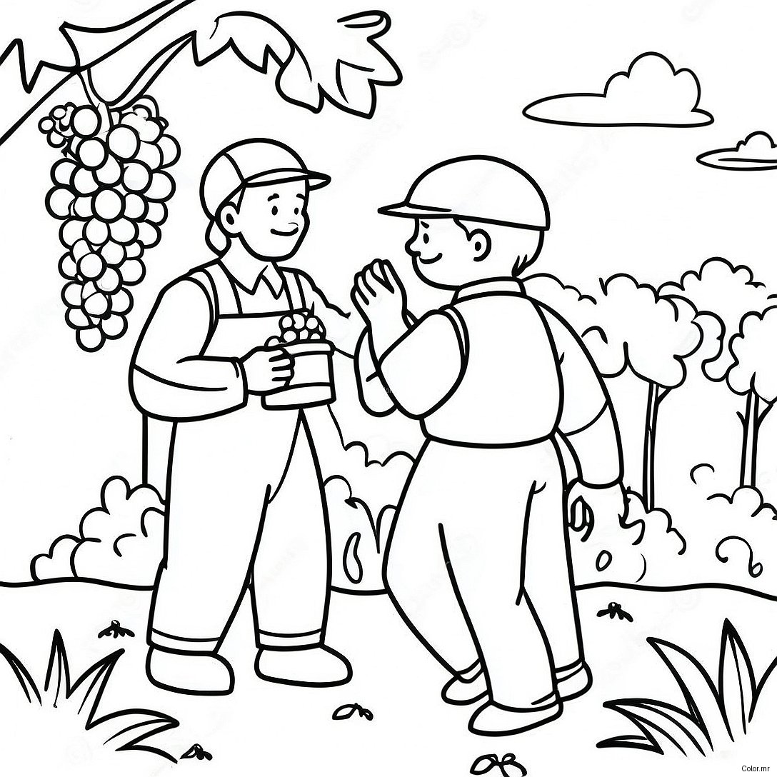 Vineyard Workers Gathering Grapes Coloring Page 71444 59034
