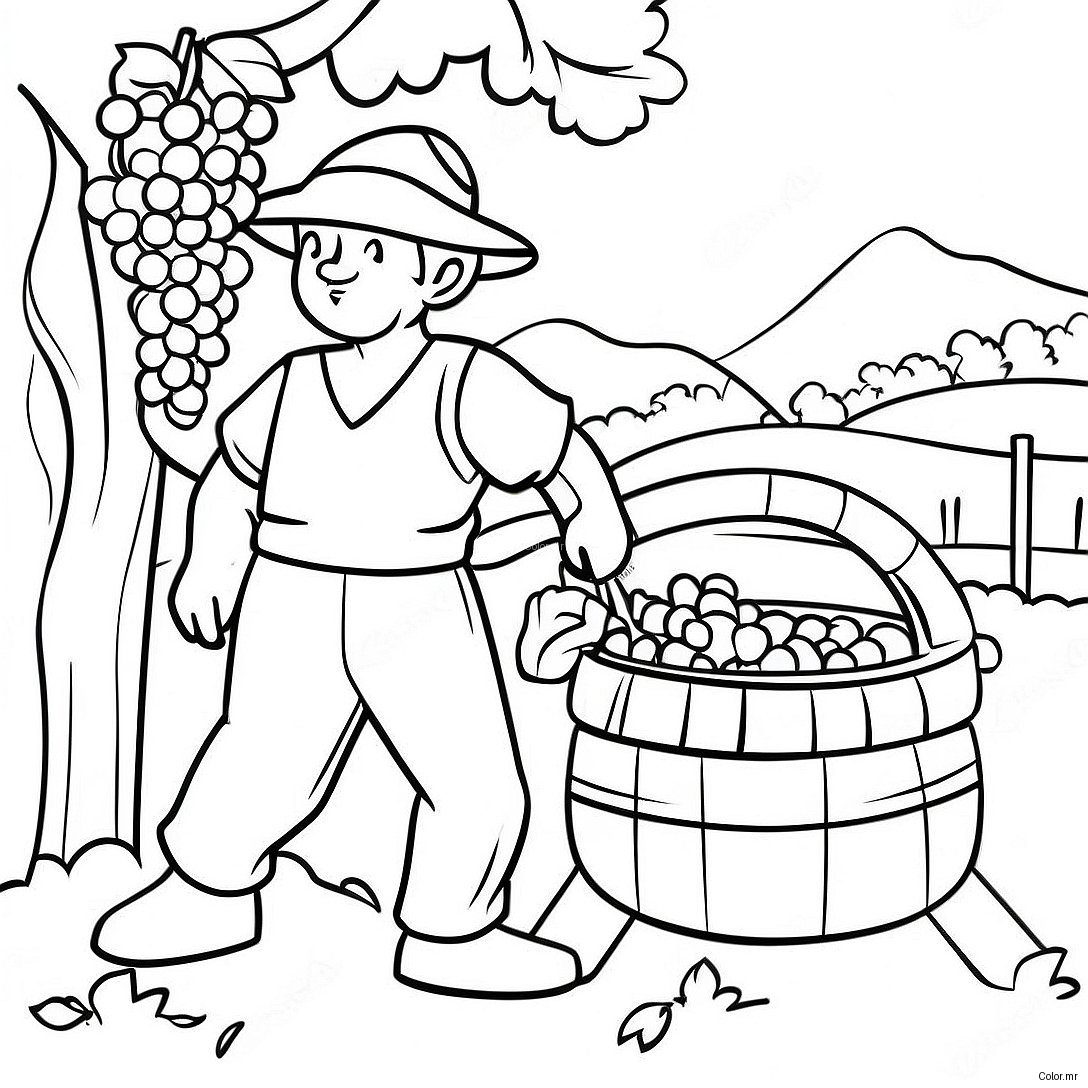 Vineyard Workers Gathering Grapes Coloring Page 71444 59035