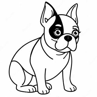 Pagina Da Colorare Del Boston Terrier 16422-13839