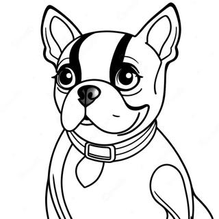 Pagina Da Colorare Del Boston Terrier 16422-13840