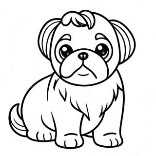 Pagina Da Colorare Cucciolo Shih Tzu 19318-16142