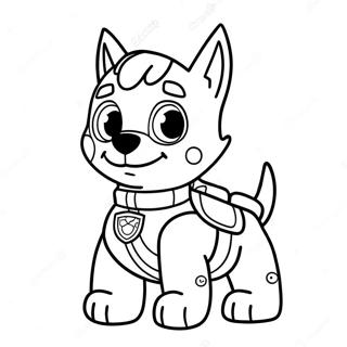 Rocky Della Paw Patrol Pagine Da Colorare