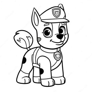 Pagina Da Colorare Di Rocky Della Paw Patrol 20782-19239