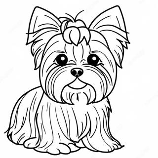 Pagina Da Colorare Di Un Yorkie Fluffy Realistico 21483-19797