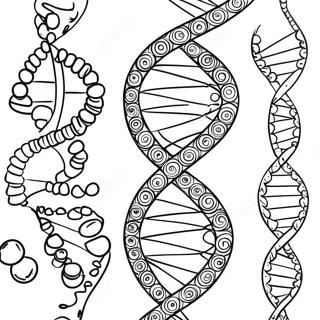 Pagina Da Colorare Della Doppia Elica Del Dna 26186-24019