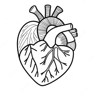 Pagina Da Colorare Dellanatomia Del Cuore 3950-3194