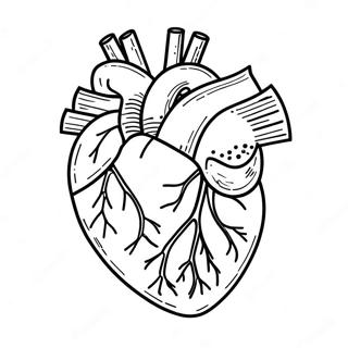 Pagina Da Colorare Dellanatomia Del Cuore 3950-3195