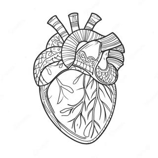 Pagina Da Colorare Dellanatomia Dettagliata Del Cuore 3951-3198