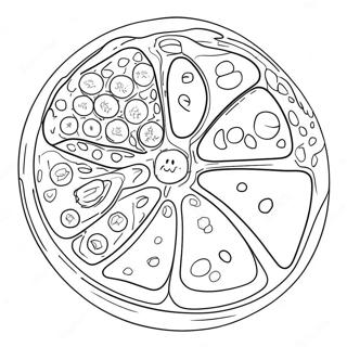 Pagina Da Colorare Del Diagramma Della Cellula Animale 40618-33662