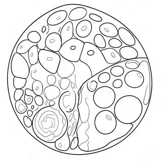 Pagina Da Colorare Del Diagramma Della Cellula Animale 40618-33663