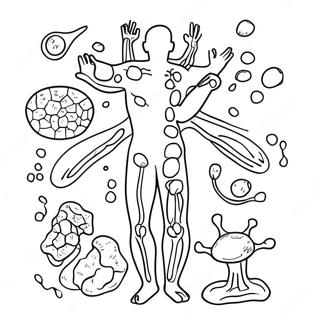 Pagina Da Colorare Del Diagramma Del Sistema Immunitario 46263-38530