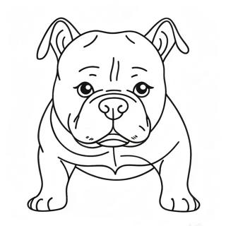 Pagina Da Colorare Di Un American Bully 47604-39586