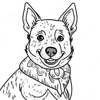 Blue Heeler Pagine Da Colorare