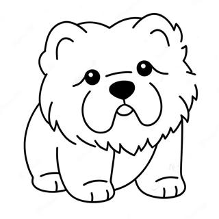 Chow Chow Pagine Da Colorare