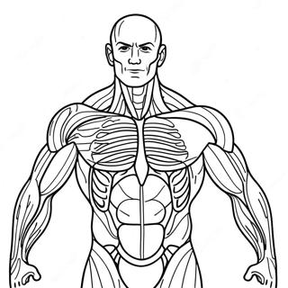 Pagina Da Colorare Dellanatomia Muscolare 50964-42455