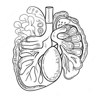 Pagina Da Colorare Degli Organi Digestivi Colorati 53639-44550