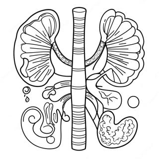 Pagina Da Colorare Degli Organi Digestivi Colorati 53639-44713