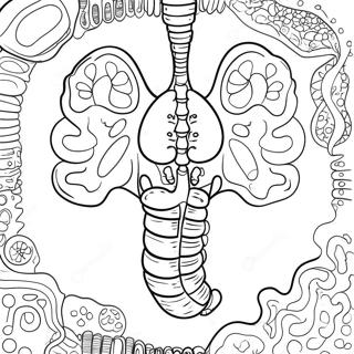 Pagina Da Colorare Degli Organi Digestivi Colorati 53639-44715