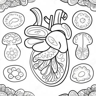 Pagina Da Colorare Degli Organi Digestivi Colorati 53639 44716