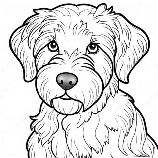 Pagina Da Colorare Di Un Aussiedoodle 55261-45972