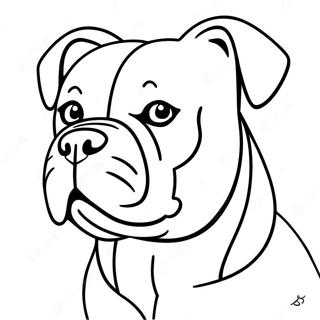 Pagina Da Colorare Di Bulldog Americano 62066-51436