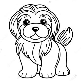 Havanese Pagine Da Colorare