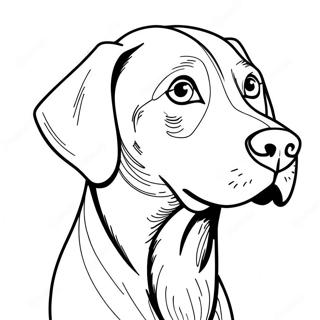 Pagina Da Colorare Di Un Cane Weimaraner 66440-54894