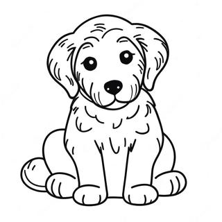 Pagina Da Colorare Cucciolo Di Goldendoodle 7934-6444