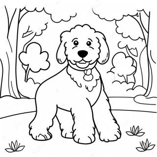 Pagina Da Colorare Goldendoodle Peloso Che Gioca Nel Parco 7935-6446