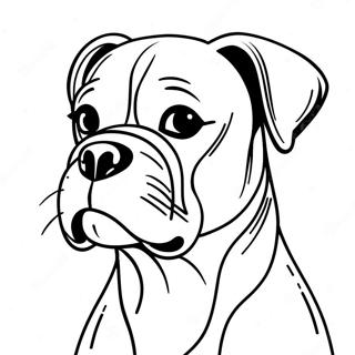 Pagina Da Colorare Di Un Cane Boxer 9746-7956