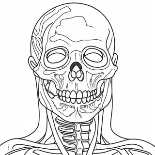 Pagina Da Colorare Dellanatomia 981-784